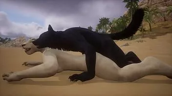 play Lobo faz sexo com leoa - vida selvagem